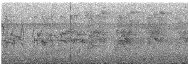 クビワアマツバメ - ML615470105