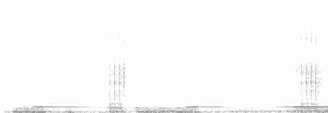 Büyük Yerkoşarı - ML615471197