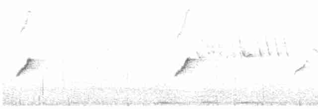 עלווית חורף קנרית - ML615471383