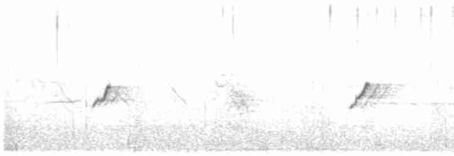 עלווית חורף קנרית - ML615471384