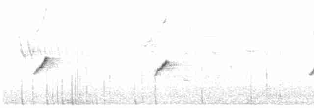 עלווית חורף קנרית - ML615471385
