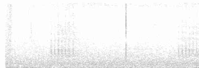 tukan černozobý - ML615472654