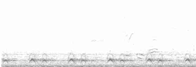 Chevêchette cuculoïde - ML615474801
