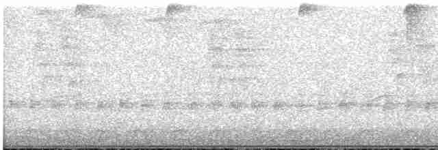 Черноухий колибри - ML615475166