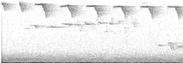 Черноухий колибри - ML615475179
