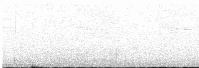 Percefleur à flancs blancs - ML615475248