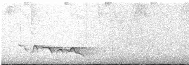 Kara Gagalı Koca Vireo - ML615475264