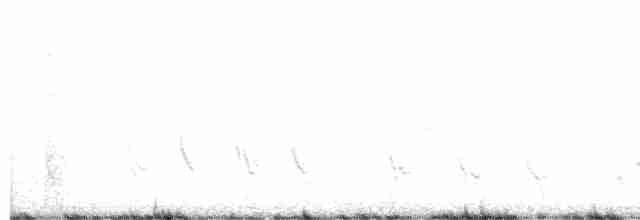 ムラサキツバメ - ML615475513
