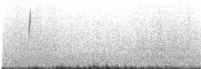 Gray-flanked Cinclodes - ML615478816