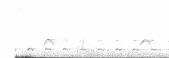 Сичик-горобець магеланський - ML615479827