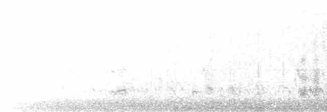 לימוזה חומת-בטן - ML615479962