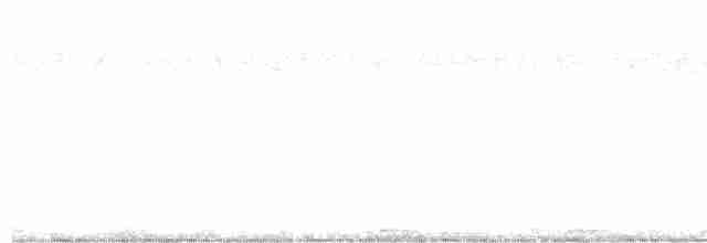 アフリカヒナフクロウ - ML615481169