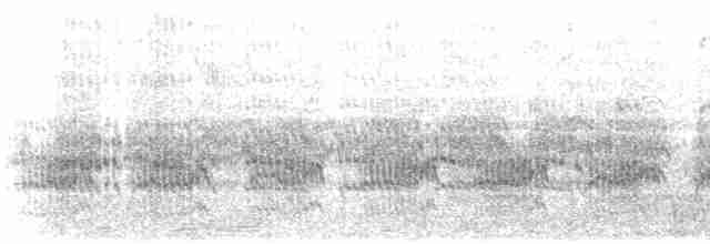 Common Tern - ML615484421