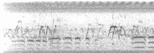 Pheasant-tailed Jacana - ML615489451