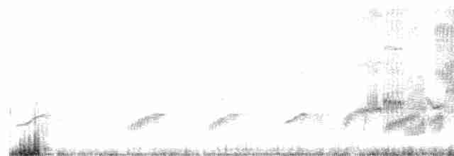 印度鵲椋鳥 - ML615491074