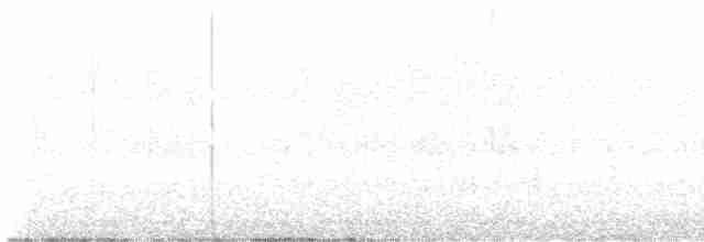 クロミオタテドリ（subcinereus） - ML615491662