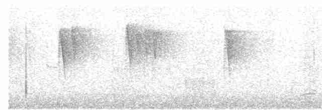Gri Başlı Kanarya Sinekkapanı - ML615492208