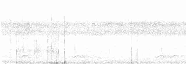 Gray-bellied Wren-Babbler - ML615492373