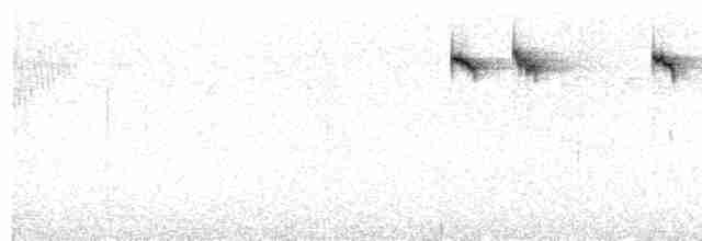 Золотомушка жовточуба (підвид inermis) - ML615492398