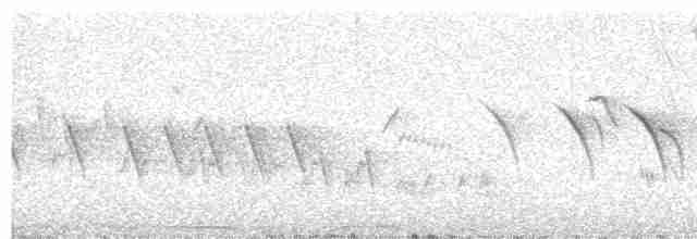 "Канарский вьюрок, дикая канарейка" - ML615492425