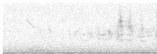 Azoresko txonta - ML615492426
