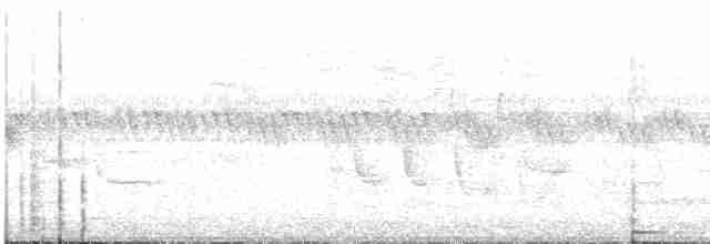 Kara Boğazlı Çalı Timalyası - ML615493596
