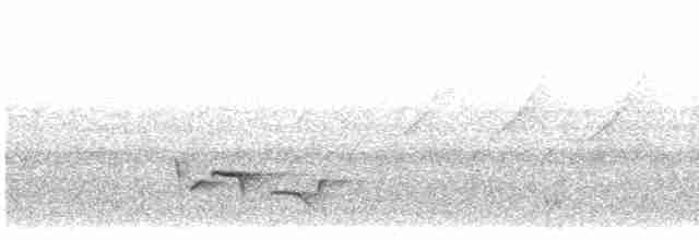 Gray-breasted Wood-Wren (Choco) - ML615493815