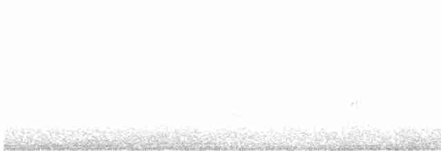 Индийский павлин (Одомашенного вида) - ML615494349