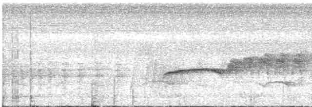 Spot-necked Babbler - ML615494696