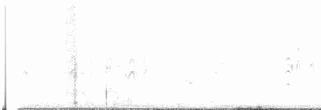 Trauerseeschwalbe - ML615495364