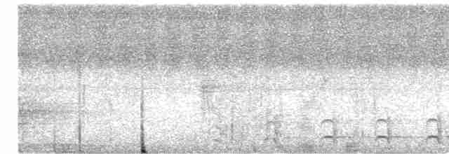 Weißbrust-Ameisenwürger - ML615495576