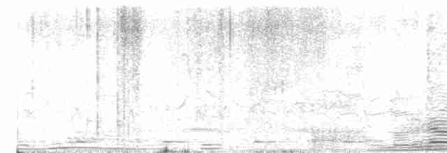 Атласная нектарница - ML615496732