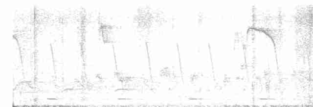 Длинноклювая нектарница - ML615496772