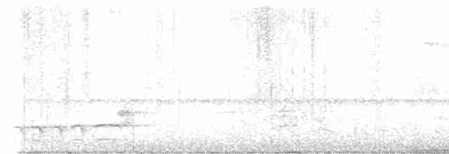 Kara Tepeli Karıncaavcısı - ML615499537