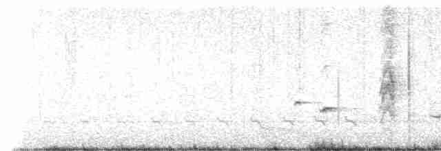 Kara Tepeli Karıncaavcısı - ML615499754