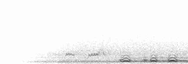チャイロアメリカフクロウ - ML615500822