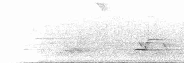 Kuzeyli Benekli Bülbül Ardıcı - ML615500840