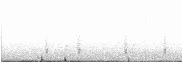 Gray Catbird - ML615508306