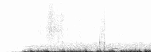 Eurasian Collared-Dove - ML615513611