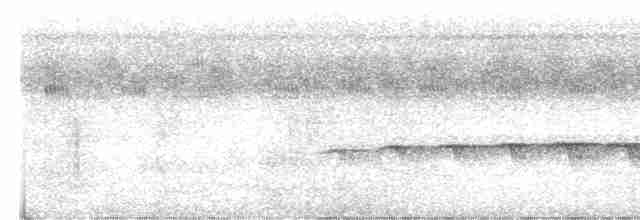 Kara Yüzlü Karıncakuşu - ML615517735
