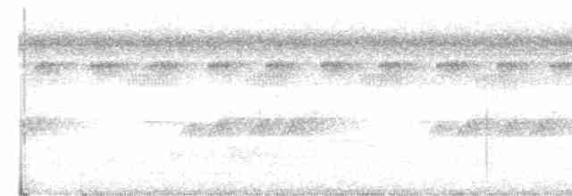 Чернопятнистая гологлазка - ML615518254