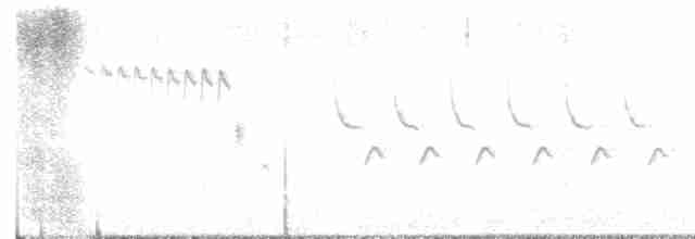 Troglodyte de Bewick - ML615522017