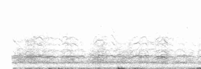 Snow Goose - ML615522154