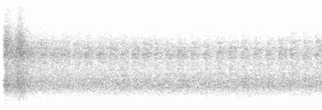 Ширококлювый колибри - ML615522319