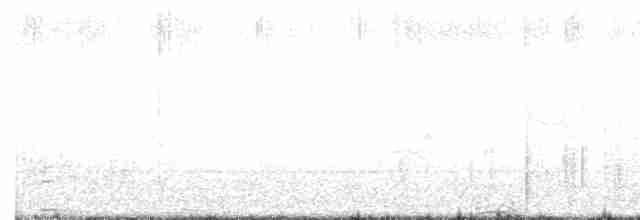 Калифорнийская кукушка-подорожник - ML615522398