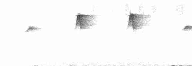 Колібрі-самоцвіт аметистовогорлий - ML615523568