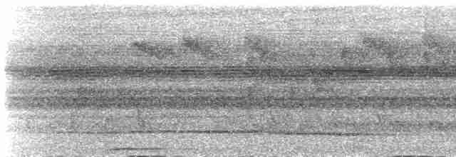 Çivit Kafalı Kumru - ML615523612