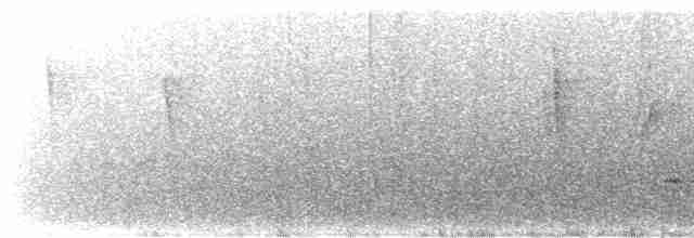 Tüpfelkronen-Ameisenvogel - ML615524295