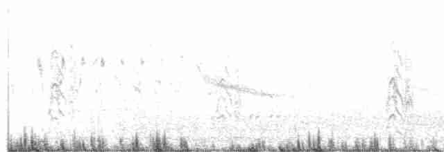 ハシグロクロハラアジサシ - ML615525626