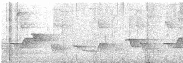 Серогрудый крапивник - ML615526472